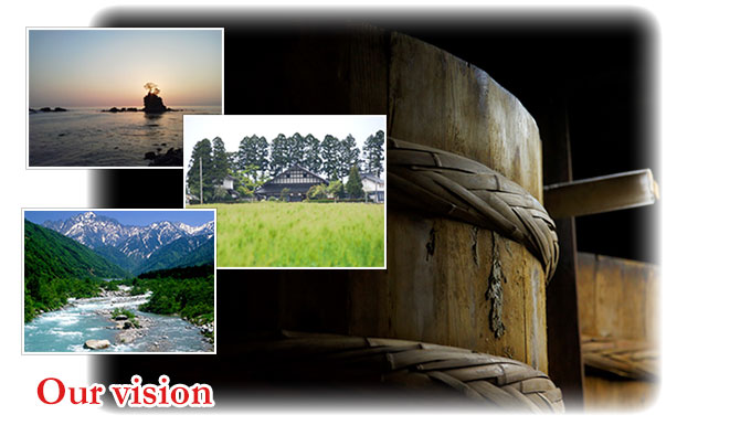Our vision